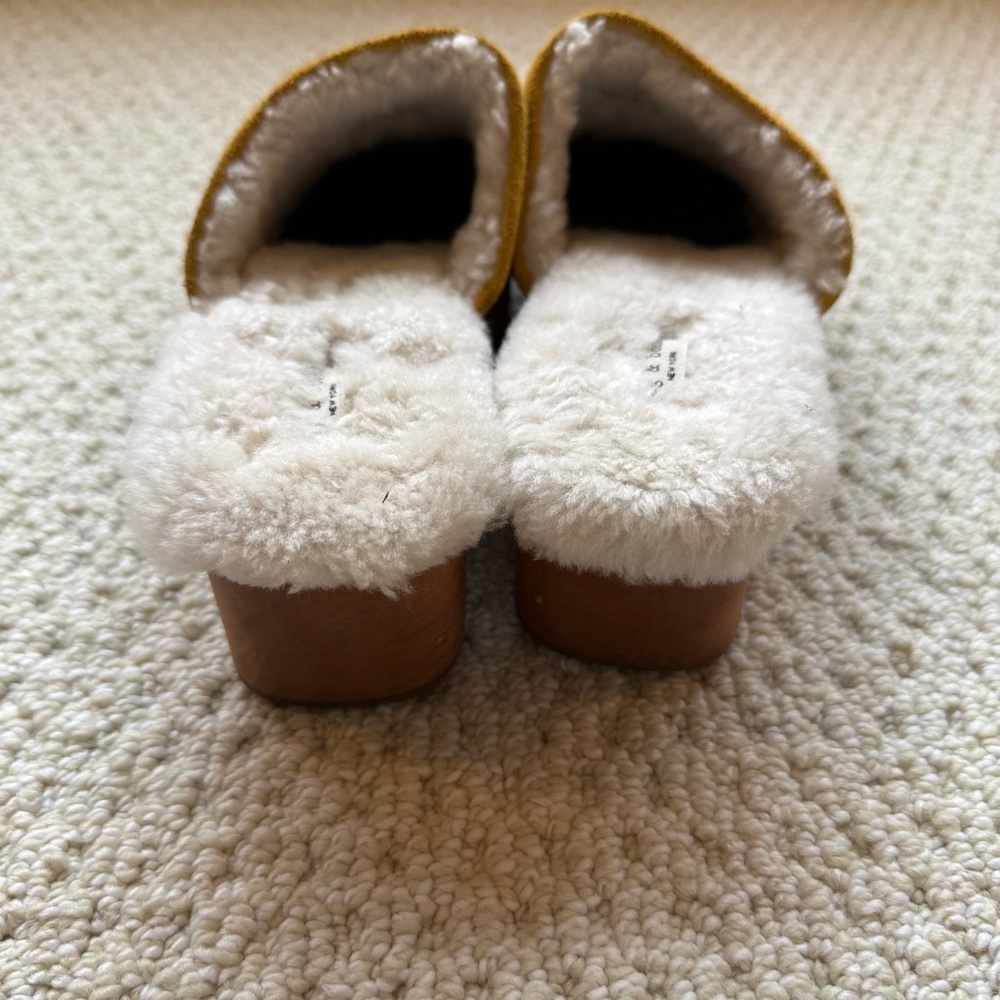 rag & bone Mustard Suede Shearling-Lined Clogs - Picture 3 of 12